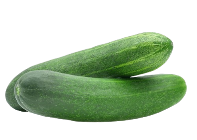 Corinto Cucumber