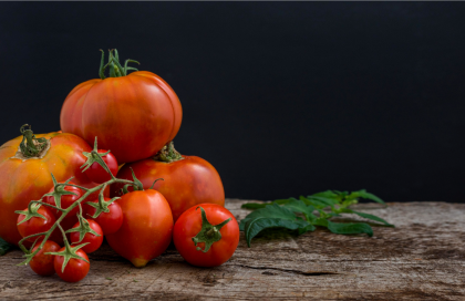 The FIRST Round of Tomatoes and Peppers are Transplanted