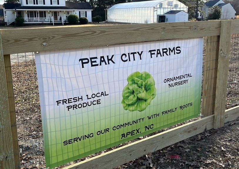 441048475_317897181170805_3862160506541936124_n