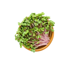 Raddish Sprouts