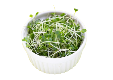 Broccoli Sprouts